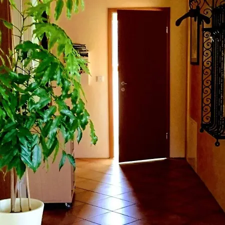 Appartamento Ferienwohnung Eifelsonne *