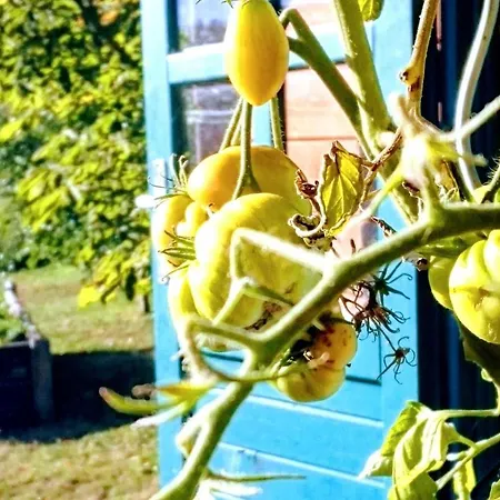 Appartamento Ferienwohnung Eifelsonne Berlingen