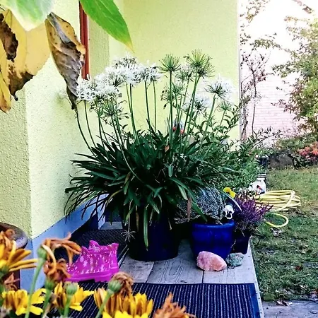 Ferienwohnung Eifelsonne *